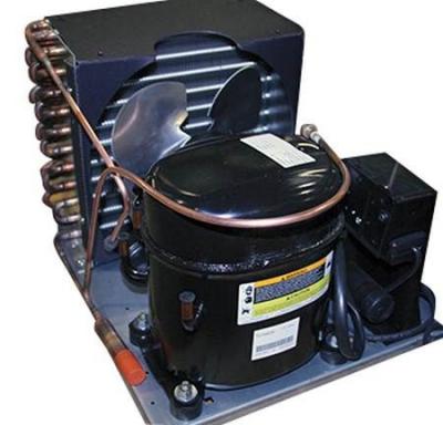 True Food Service Parts 882009