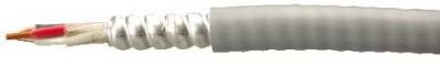 Coleman Cable 92484J409